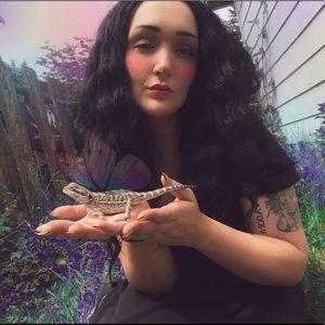 Meet your Posher, Shelley